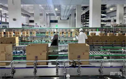 新質造零碳工廠 智慧酒香飄出，軟件定義釀造未來