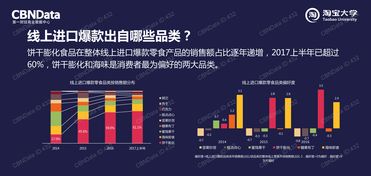 中國市場互聯網數據資訊中心199it數據處理服務的深度解析